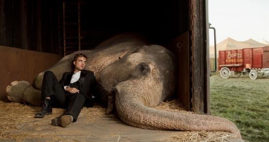 Nouvelles photos de Rob et Reese dans Water for éléphants