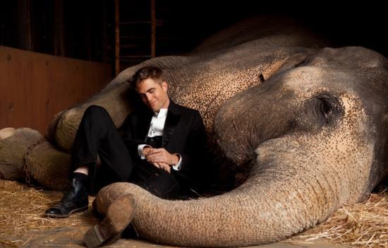 Nouvelles photos de Rob et Reese dans Water for éléphants