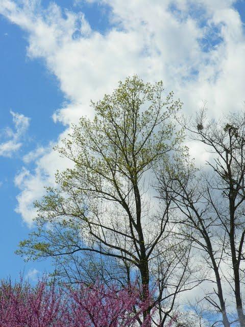 Activités Printanières