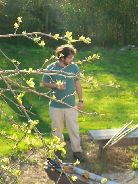 Activités Printanières