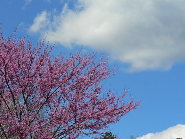 Activités Printanières