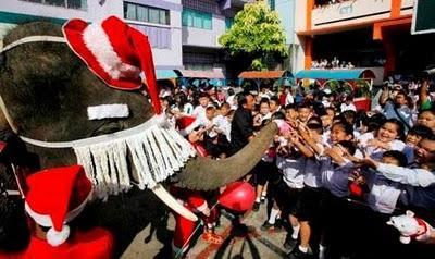 Elephant de Noel en Chine