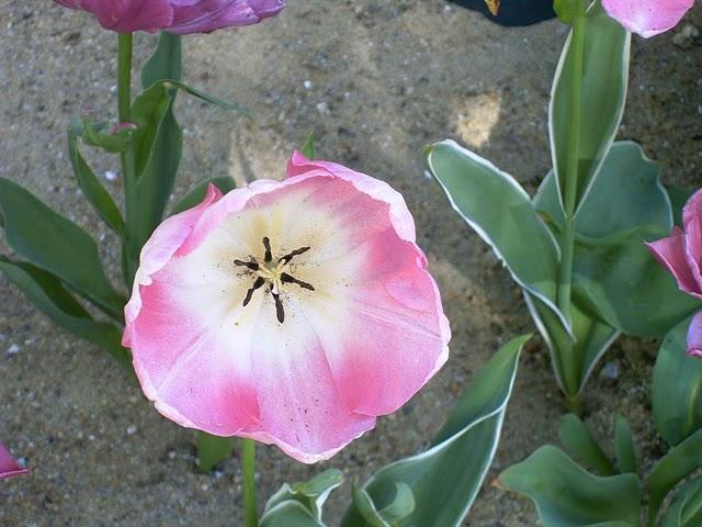 et nous, dans tout ça?