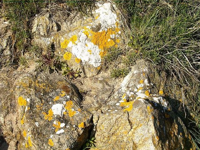 et nous, dans tout ça?