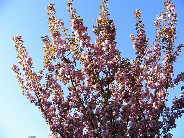 et nous, dans tout ça?