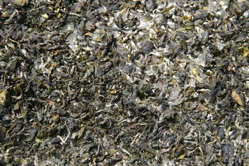 Thé jaune sec Yellow tea dry Chinese 黃茶; pinyin huángchá