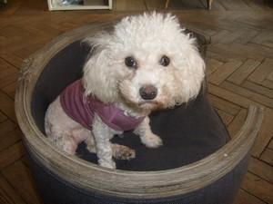 Blanche fait son cinéma :D Blanche fait son cinéma :D