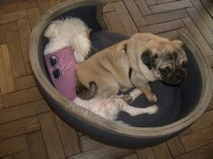 Blanche fait son cinéma :D Blanche fait son cinéma :D