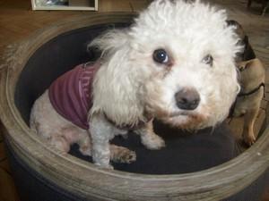 Blanche fait son cinéma :D Blanche fait son cinéma :D