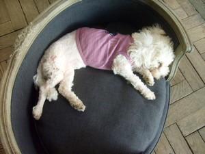 Blanche fait son cinéma :D Blanche fait son cinéma :D