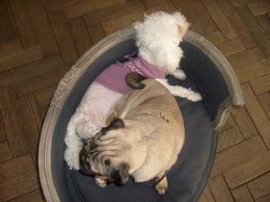 Blanche fait son cinéma :D Blanche fait son cinéma :D