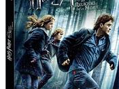 [Sortie DVD] Harry Potter reliques mort Part
