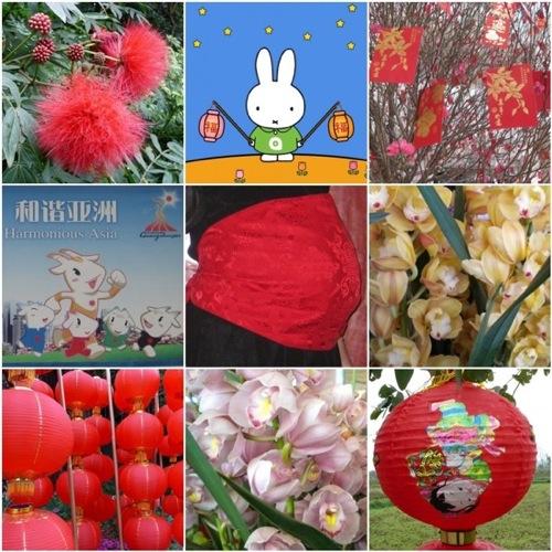 Bonne année du lapin !