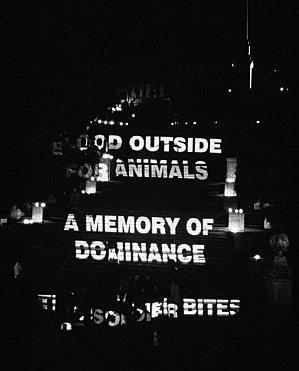 Une artiste... Jenny Holzer jenny holzer3