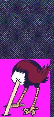 autruche_pt-6.gif