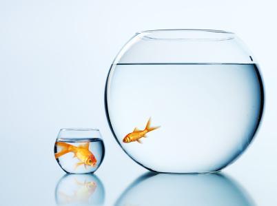 Pourquoi je préfère LinkedIn à Viadeo