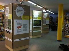 valais_mythique_mite