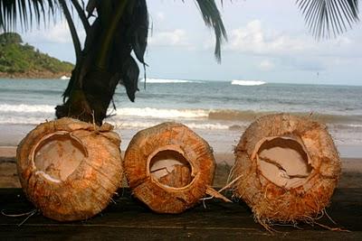 A Ezile Bay, Trois noix de coco..., At Ezile Bay, three coconuts...
