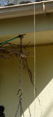 Quelques couleurs de plus au jardin pour vous souhaiter à...