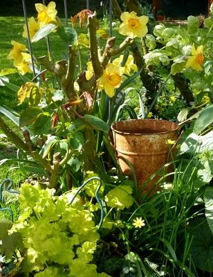 Quelques couleurs de plus au jardin pour vous souhaiter à...