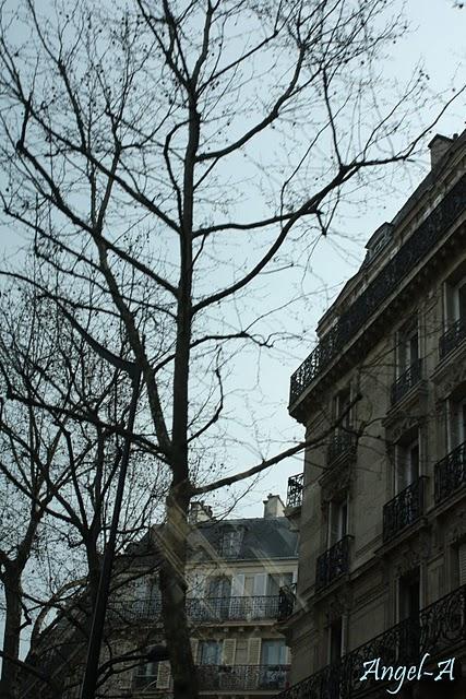 Séance photos. Paris.