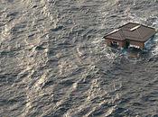 pieds humains, encore chaussés, dans nappe déchets