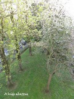 Le printemps est arrivé