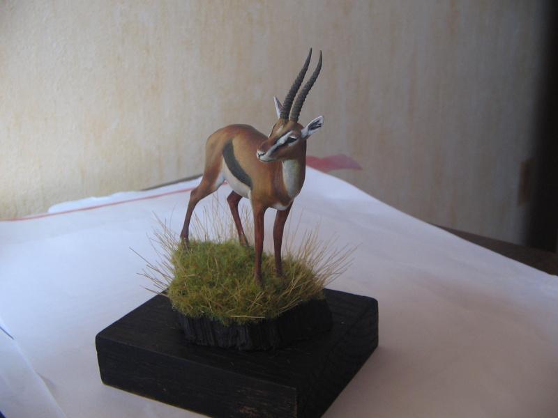 [Peinture - WIP] Nouvelles photos de la gazelle