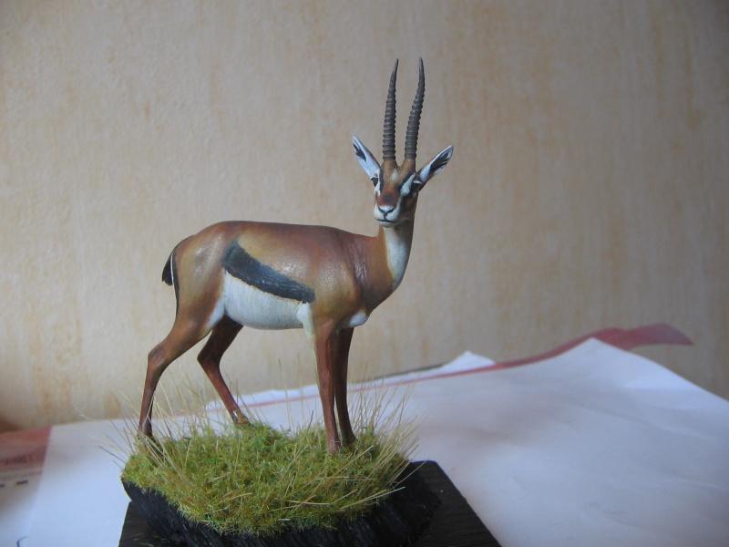 [Peinture - WIP] Nouvelles photos de la gazelle