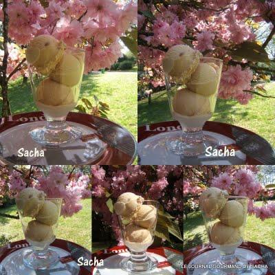 Glace à la crème de spéculoos