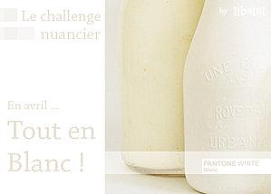 201104-challenge-nuancier-blanc-by-libelul