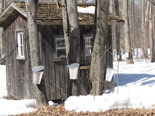 Un sympathique Samedi à la Sucrerie de la Montagne !!...