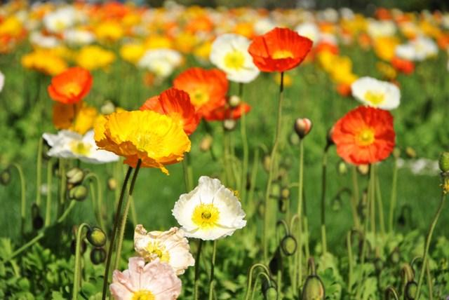 Image Hosted by ImageShack.us