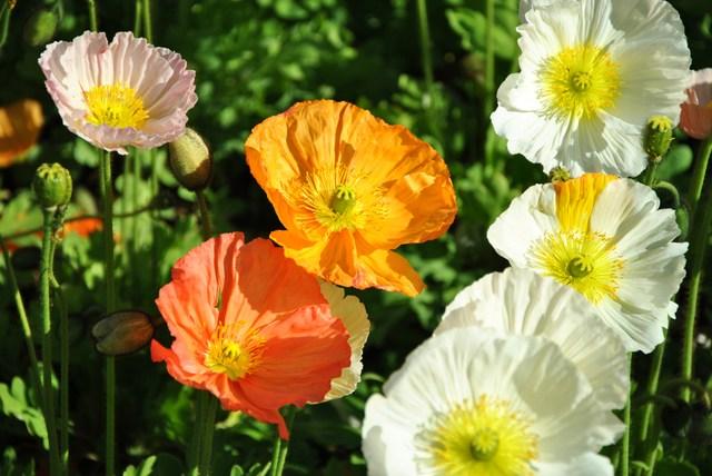 Image Hosted by ImageShack.us