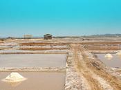 Thailande. Udonthani. Marais Salins Dung