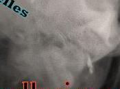 Evan carnet bord d'un ange dechu