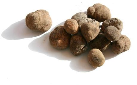 White truffle