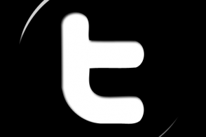 Twitter, avatar, usage et connerie
