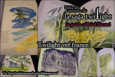 Plus que 3 jours avant la sortie du Guide officiel de la saga !