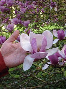 photo therese 054-copie-2