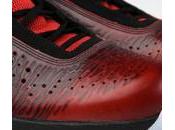 Jordan 2011 Black/Comet (West Team)