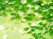 panier c'est possible