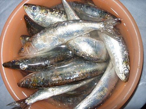 Friture de daurade et boulettes de sardines