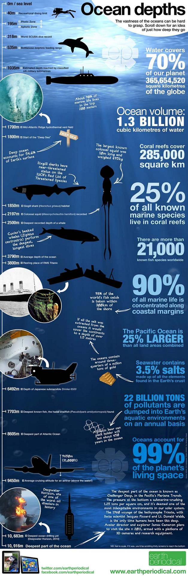 Infographie – Dans les profondeurs des océans …