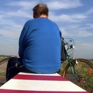 Exposition ECOTONE  à MAISON DES ARTS GEORGES POMPIDOU | Lot