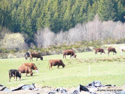 un lundi parmi tant d'autres