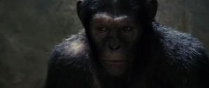 Rise of the Planet of the Apes se dévoile !