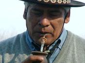 J'ai testé nouveau sucre sans