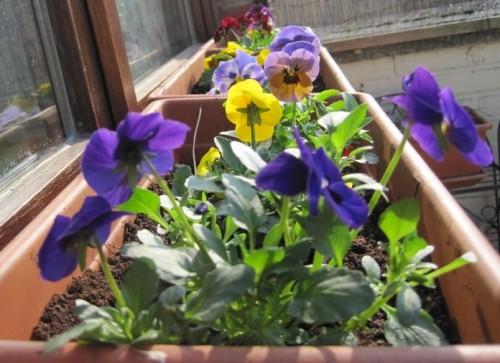 Copie de divers 078.jpg