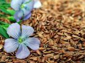 L’huile lin, source naturelle d’omégas